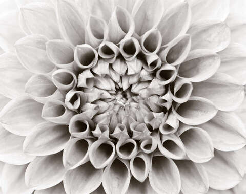 87974949a-1.jpg